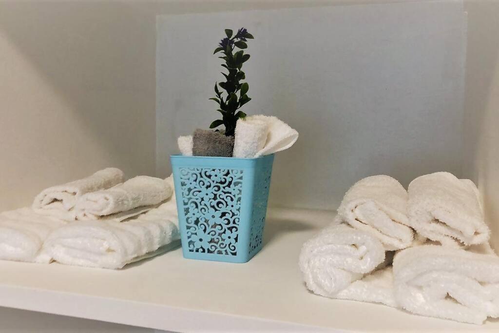 Lovely 1 Bedroom Apartment W/Private Parking Ensenada Eksteriør billede